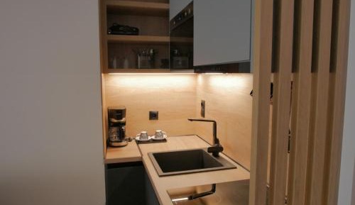 Deluxe One-Bedroom Apartment with City View