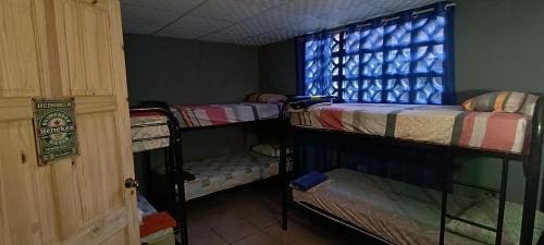 6-Bed Mixed Dormitory Room