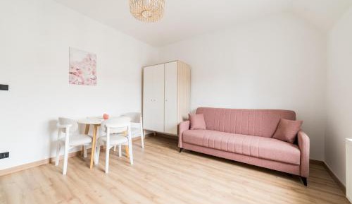 Studio with Sofa Bed