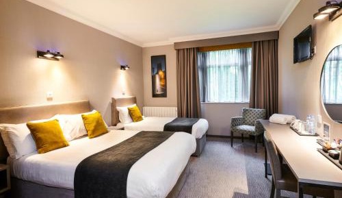 Standard Twin Room