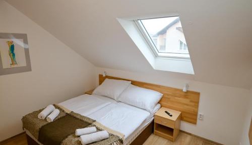 Comfort Double or Twin Room