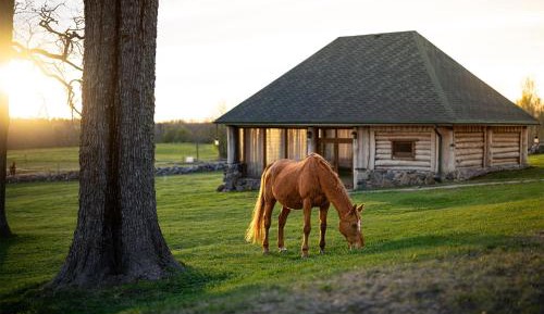 One-Bedroom House