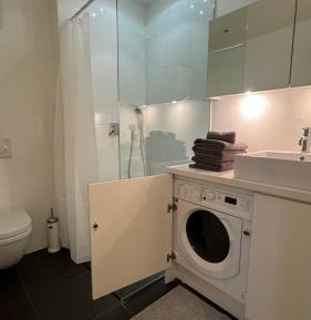  One-Bedroom Apartment with Lake View - First Floor