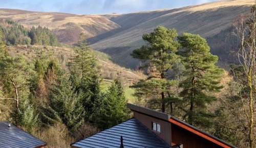 Silver Birch Valley View Cabin (pet-friendly)