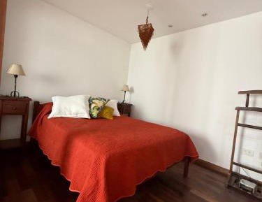 One-bedroom Loft Apartment 