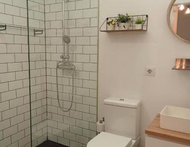 Deluxe Apartment with balcony