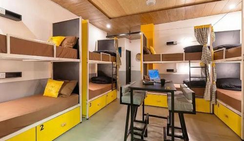 Bed in 4-Bed Dormitory Room