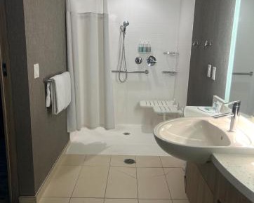 Suite, 1 King trundle, Sofa bed (Mobility Accessible w/Tub)