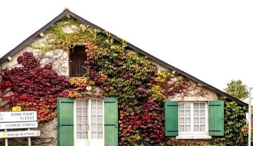 Holiday Home (5 Adults)