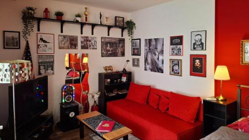 Studio Apartment