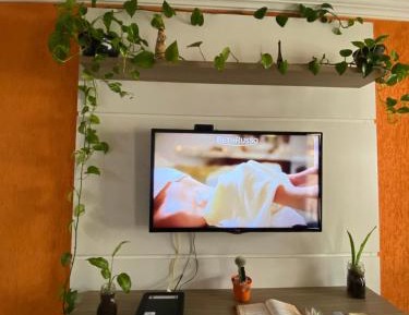 Standard Single Room with Shared Bathroom