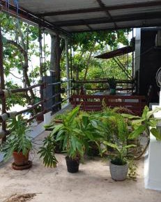 Double Room with Terrace