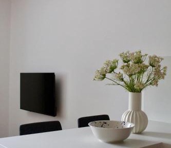 Apartment with Shower