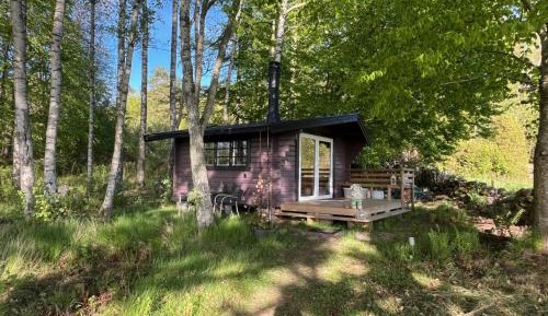 Triple Room with View