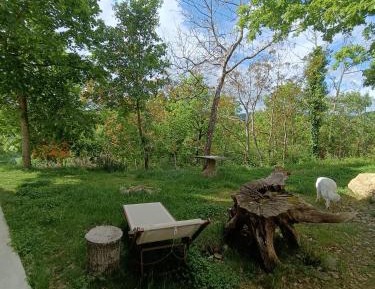 Queen Room with Garden View