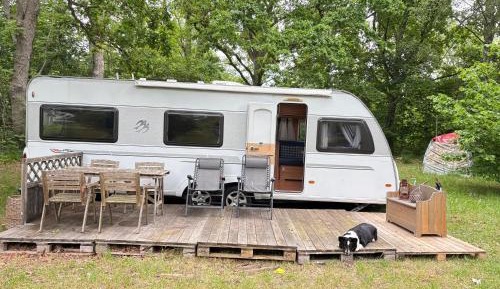 Caravan