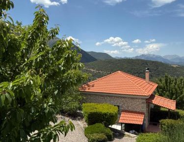 Superior Villa