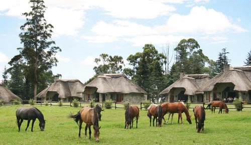 Self-Catering Chalet