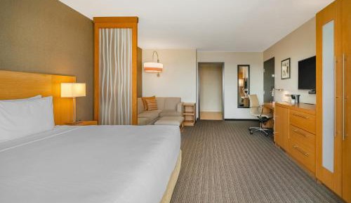 Large King Room with Sofa Bed