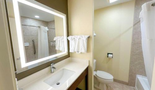 1 King Bed Apartment Suite