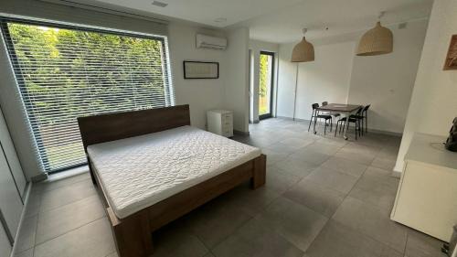 One-Bedroom Apartment with Terrace
