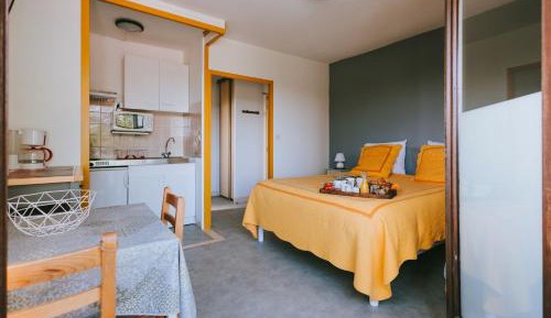 Studio with Lake View