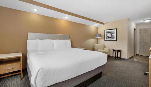 King Room - Non-Smoking