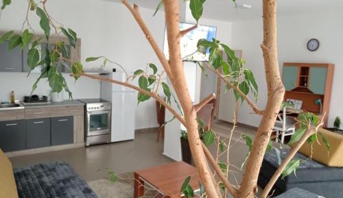 Two-Bedroom Apartment with Garden View