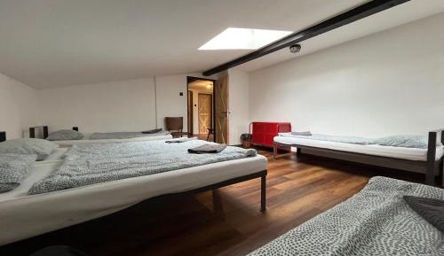 Mixed Dormitory Room