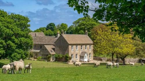 Six-Bedroom House