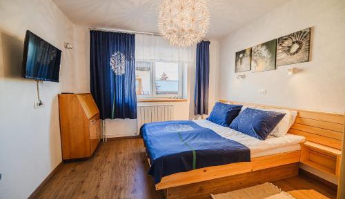 One Bedroom Apartment