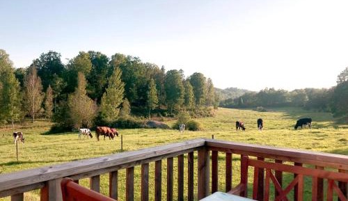 Three-Bedroom Holiday Home 