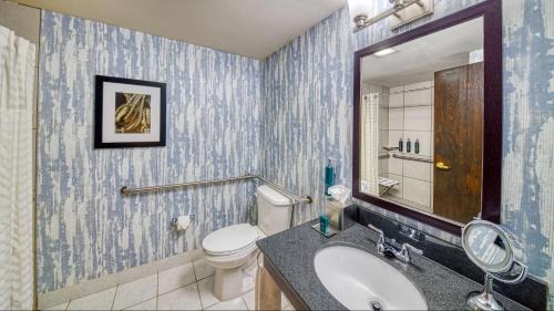 King Room with Roll-in Shower - Mobility and Hearing Accessible/Non-Smoking