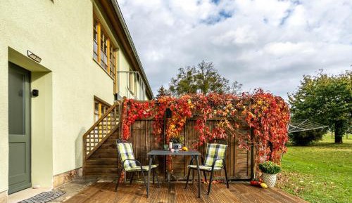 Superior One-Bedroom Apartment