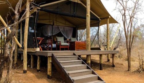 Standard Tent