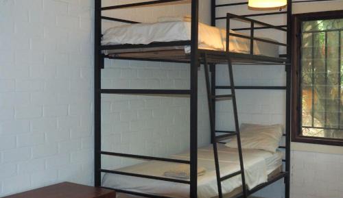 Bed in 6-Bed Dormitory Room
