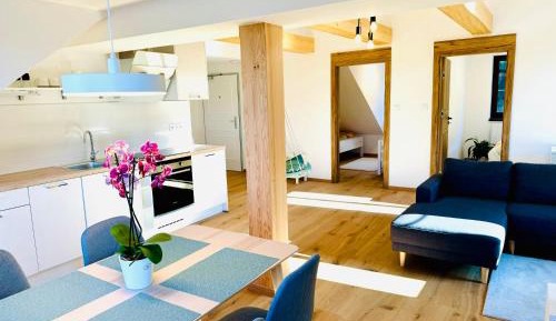 Two-Bedroom Apartment with Mountain View