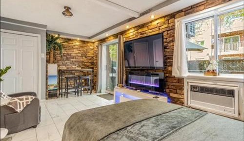 Brooklyn Spacious Condo - No Smoking