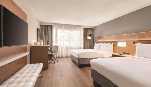 Queen Room with Two Queen Beds