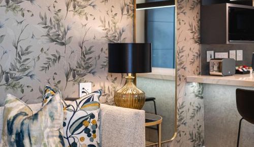 Deluxe One-Bedroom Apartment