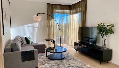 One-Bedroom Deluxe Apartment