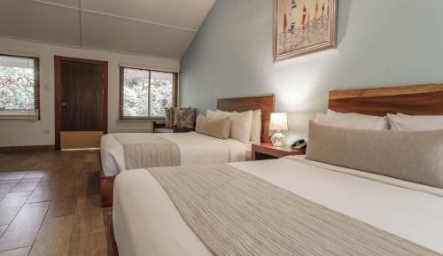 Standard  2 Queen Beds