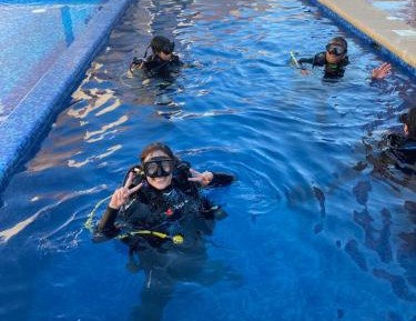 Double Room with Pool View