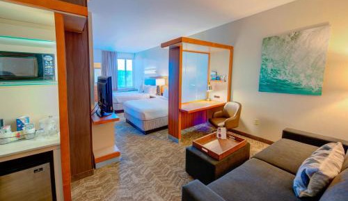 Queen Studio with Sofa Bed and Adapted Tub - Mobility Accessible