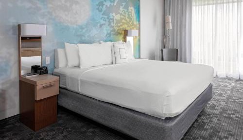 Suite, 1 King, Sofa bed