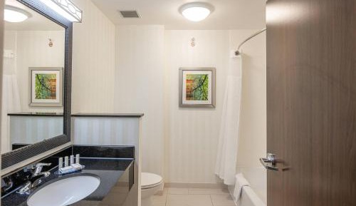 Queen Studio with Sofa Bed