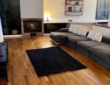 One-bedroom Loft Apartment 