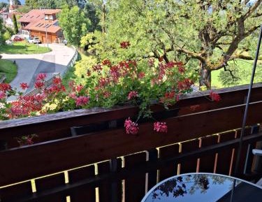 Two-Bedroom Apartment with Mountain View