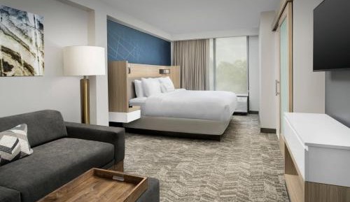 King Suite with Sofa Bed