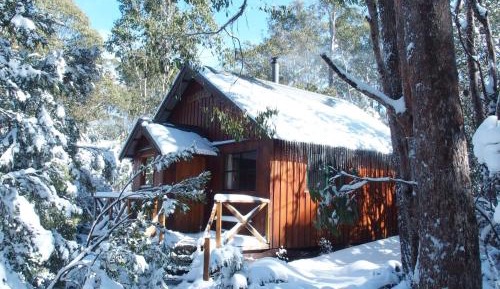 Telopea Spa Cabin